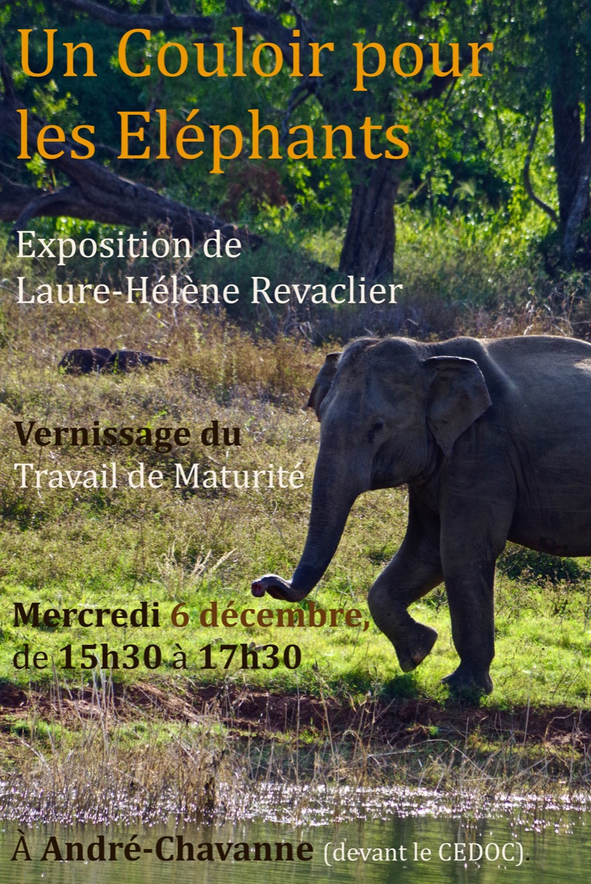 Flyer du vernissage de l'exposition